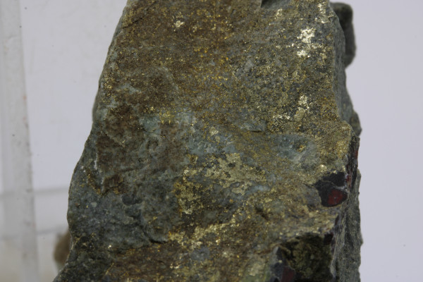 Cinopel 6