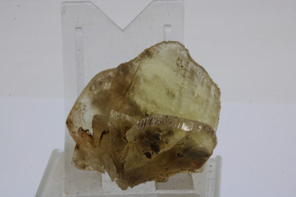 Sádrovec 1