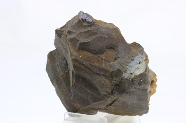 Rohovec 1