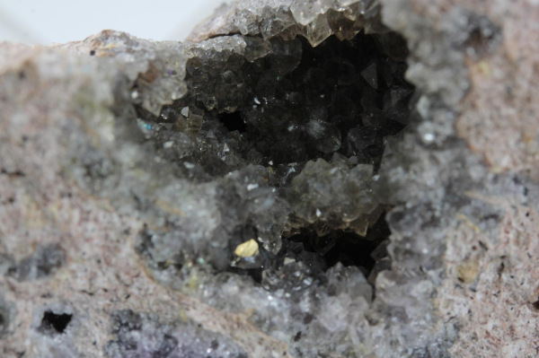 Kremeň - záhneda 1